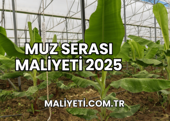 Muz Serası Maliyeti 2025