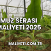 Muz Serası Maliyeti 2025