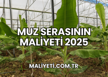 Muz Serasının Maliyeti 2025