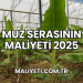 Muz Serasının Maliyeti 2025