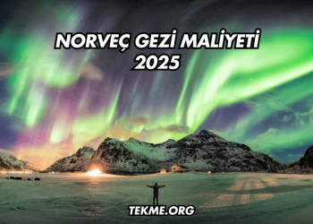 Norveç Gezi Maliyeti 2025