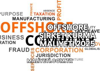 Offshore Şirket Kurma Maliyeti 2025