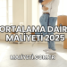 Ortalama Daire Maliyeti 2025