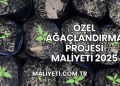 Özel Ağaçlandırma Projesi Maliyeti 2025