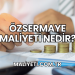 Özsermaye Maliyeti Nedir?
