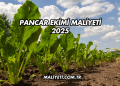 Pancar Ekimi Maliyeti 2025