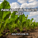 Pancar Ekimi Maliyeti 2025
