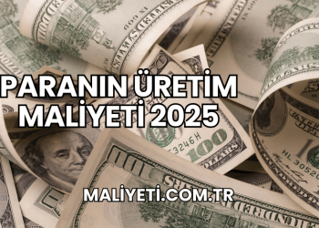Paranın Üretim Maliyeti 2025