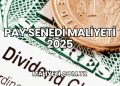 Pay Senedi Maliyeti 2025
