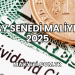 Pay Senedi Maliyeti 2025