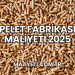 Pelet Fabrikası Maliyeti 2025