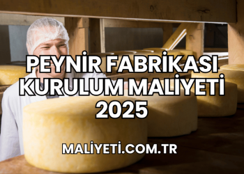 Peynir Fabrikası Kurulum Maliyeti 2025