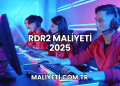 RDR2 Maliyeti 2025