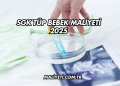 SGK Tüp Bebek Maliyeti 2025