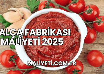 Salça Fabrikası Maliyeti 2025
