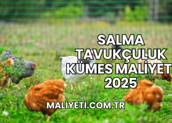 Salma Tavukçuluk Kümes Maliyeti 2025