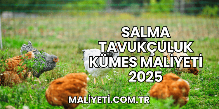 Salma Tavukçuluk Kümes Maliyeti 2025