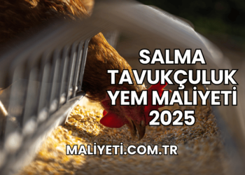 Salma Tavukçuluk Yem Maliyeti 2025