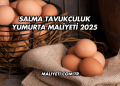 Salma Tavukçuluk Yumurta Maliyeti 2025