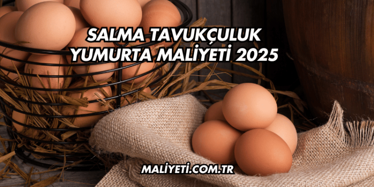 Salma Tavukçuluk Yumurta Maliyeti 2025
