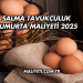 Salma Tavukçuluk Yumurta Maliyeti 2025