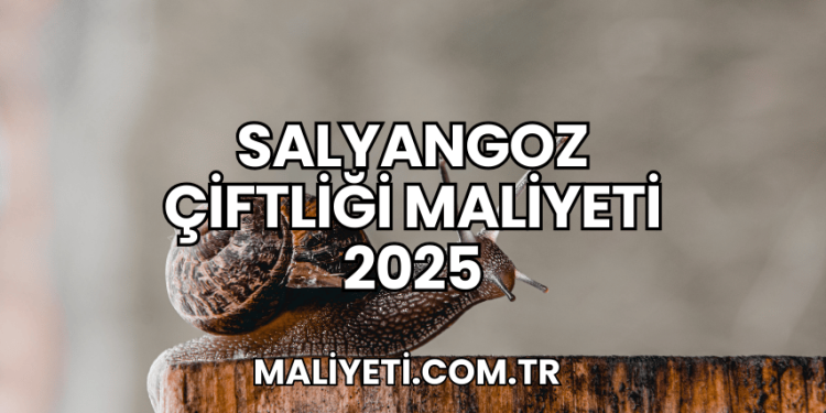Salyangoz Çiftliği Maliyeti 2025