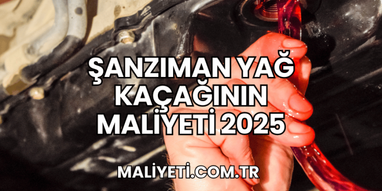 Şanzıman Yağ Kaçağının Maliyeti 2025