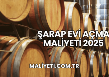 Şarap Evi Açma Maliyeti 2025