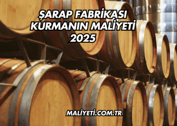 Şarap Fabrikası Kurmanın Maliyeti 2025