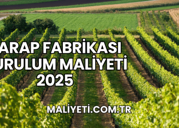 Şarap Fabrikası Kurulum Maliyeti 2025