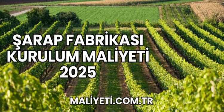 Şarap Fabrikası Kurulum Maliyeti 2025