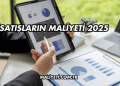 Satışların Maliyeti 2025