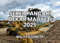 Şeker Pancarı Dekar Maliyeti 2025