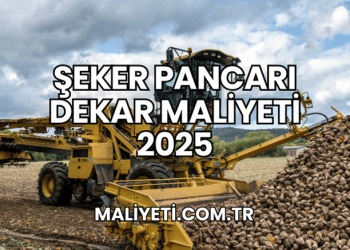 Şeker Pancarı Dekar Maliyeti 2025