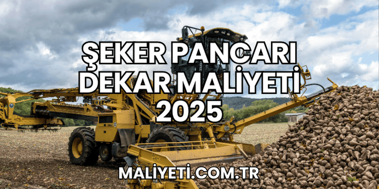 Şeker Pancarı Dekar Maliyeti 2025