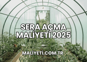 Sera Açma Maliyeti 2025