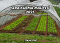 Sera Kurma Maliyeti 2025