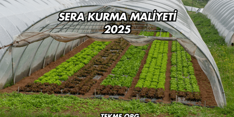 Sera Kurma Maliyeti 2025