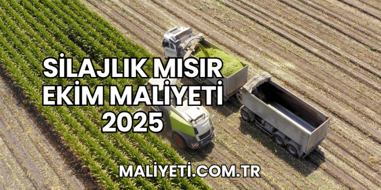 Silajlık Mısır Ekim Maliyeti 2025