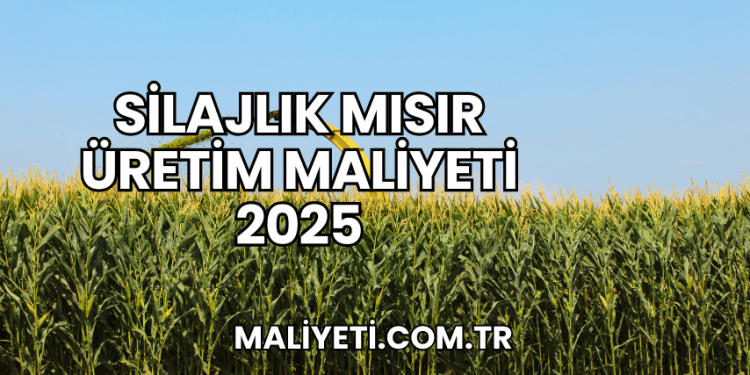 Silajlık Mısır Üretim Maliyeti 2025