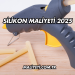 Silikon Maliyeti 2025