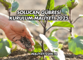 Solucan Gübresi Kurulum Maliyeti 2025