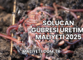 Solucan Gübresi Üretimi Maliyeti 2025
