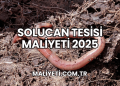 Solucan Tesisi Maliyeti 2025