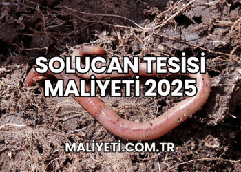 Solucan Tesisi Maliyeti 2025