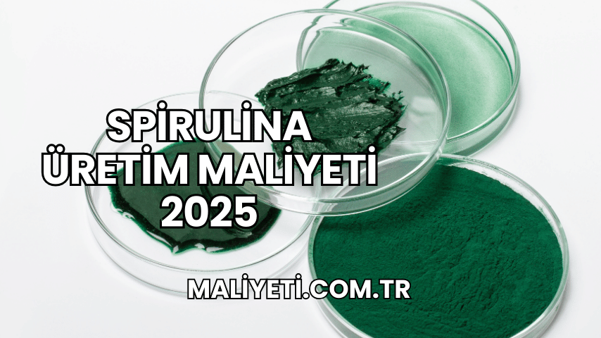 Spirulina Üretim Maliyeti 2025