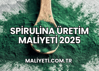 Spirulina Üretim Maliyeti 2025
