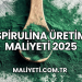 Spirulina Üretim Maliyeti 2025