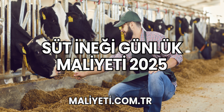Süt İneği Günlük Maliyeti 2025