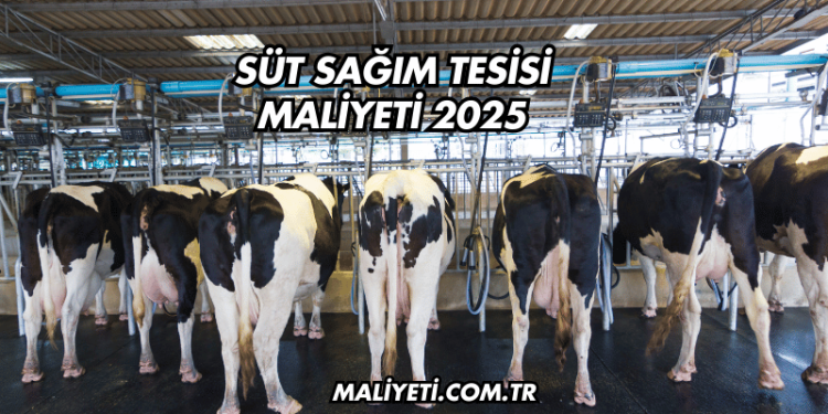 Süt Sağım Tesisi Maliyeti 2025